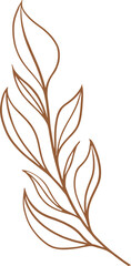 Botanical branch is showing brown outline with elongated leaves in flat art, transparent background