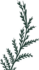 Stylized botanical twig is showing dark green flat vector with leaflets, transparent background
