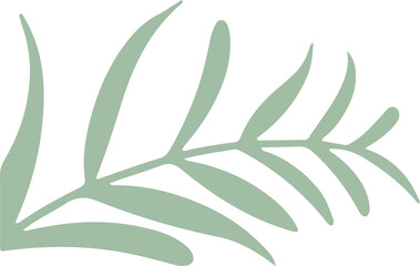 Stylized leafy branch is being shown in flat design, with pale mint green on transparent background