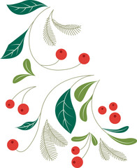 Vector botanical illustration is showing green leaves and red berries on transparent background