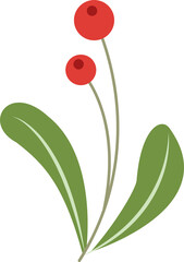 Plant branch is showing red berries with green leaves in flat design with transparent background