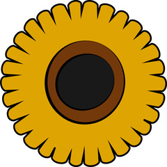 Flat design is showing sunflower with gold petals, brown disk, black center, transparent background