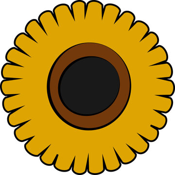 Fototapeta Flat design is showing sunflower with gold petals, brown disk, black center, transparent background