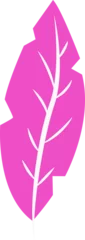 Fotobehang Magenta-pink flat vector leaf is showing white stem and veins on transparent background, copy space © vectorfusionart