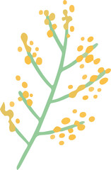 Botanical sprig is being shown in flat with green stem and yellow berries, transparent background