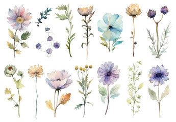 Vector watercolor painted style - flowers clipart isolated on white background.