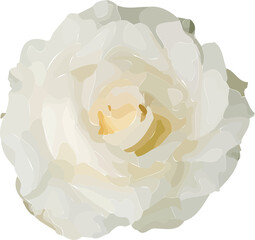 Painterly artwork is showing swirling rose petals in beige on transparent background, copy space