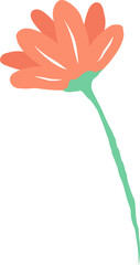 Hand-drawn flower is showing coral-orange petals fanning from green calyx on transparent background