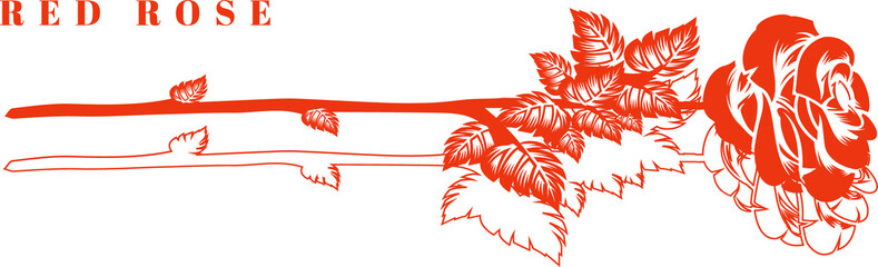 Showing flat red vector rose stem with thorny leaves, blooming rose, RED ROSE label, transparent
