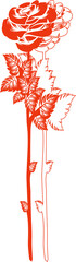 Stylized red rose vector silhouette is showing on transparent backdrop with dual stems and veins