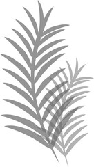 Palm frond silhouettes are overlapping in flat vector with layered shapes, transparent background