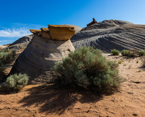 Sandstone Formations on Ancient Petrified Layered Sand Dunes, Nautilus Trail, Paria Canyon-Vermillion Cliffs Wilderness, Utah, USA