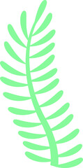 Stylized mint green fern frond is floating in flat illustration, transparent background