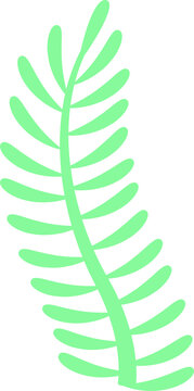Fototapeta Stylized mint green fern frond is floating in flat illustration, transparent background