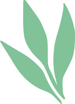 Fototapeta Minimalist stylized green leaf sprig is floating on transparent background in flat design style