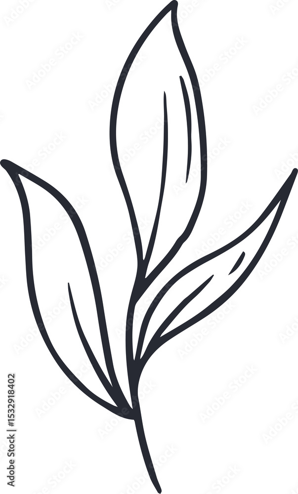Aufkleber botanical branch is being shown in line art with five lanceolate leaves on transparent background