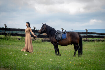 horse and rider