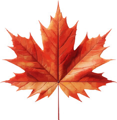 maple leaf