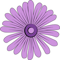 Flat purple daisy flower is featuring two-tone center and lilac petals on transparent backdrop
