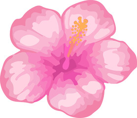 Flat design pink hibiscus blooming on transparent background showing five petals and yellow stamen