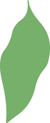 Abstract green leaf-like shape with smooth curves is floating on transparent canvas in flat design
