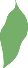 Fotobehang Abstract green leaf-like shape with smooth curves is floating on transparent canvas in flat design © vectorfusionart