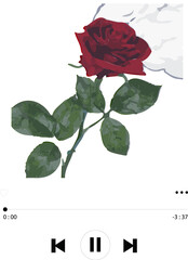 Showing flat design red rose with leaves near white bloom, audio controls on transparent background