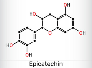 Epicatechin molecule. Flavanol antioxidant found in chocolate and tea