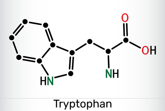 Tryptophan, Trp or W molecule chemical structure. Essential amino acid and serotonin precursor