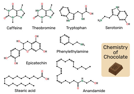 Chemistry of chocolate. Molecules of theobromine, caffeine, tryptophan, serotonin, epicatechin, stearic acid, phenylethylamine, anandamide