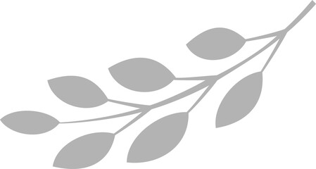 Botanical branch silhouette is resting on transparent background with elongated oval leaves