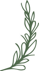 Obraz premium Vector graphic is featuring stylized green branch sprig with oval leaves on transparent background