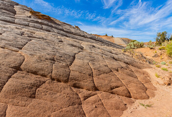 Layered Patterns on Ancient Petrified Sand Dunes, Nautilus Trail, Paria Canyon-Vermillion Cliffs Wilderness, Utah, USA