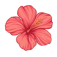 Hibiscus-style flower is blooming in flat design with fine vein details on transparent background