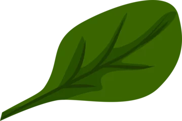 Fotobehang Stylized green leaf is being shown in flat design with veins and wavy edges, transparent background © vectorfusionart