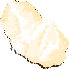 Flat illustration is showing cauliflower floret in light cream tones on transparent background