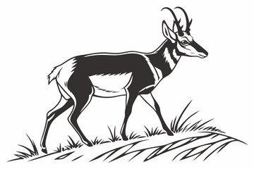 pronghorn sihouette black vector