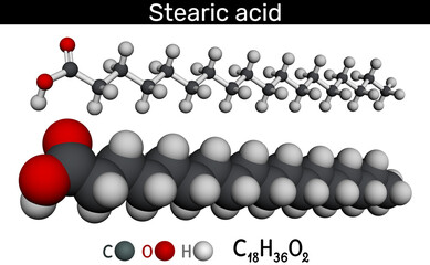 Stearic acid molecule. Saturated fatty acid used in food, cosmetics and pharmaceuticals. Molecular model. 3D rendering