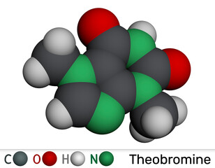 Theobromine molecule. Cocoa alkaloid found in chocolate. Molecular model. 3D rendering. Illustration