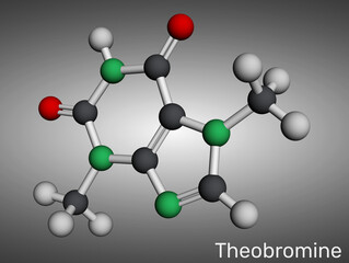 Theobromine molecule. Cocoa alkaloid found in chocolate. Molecular model. 3D rendering. Illustration