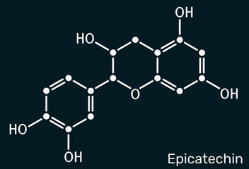 Epicatechin molecule. Flavanol antioxidant found in chocolate and tea. Dark blue background, illustration