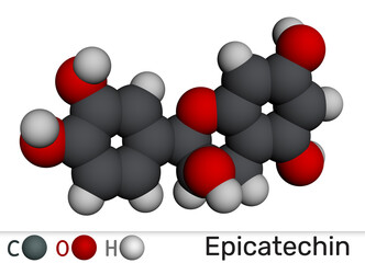 Epicatechin molecule. Flavanol antioxidant found in chocolate and tea. Molecular model. 3D rendering. Illustration