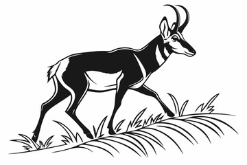 pronghorn sihouette black vector