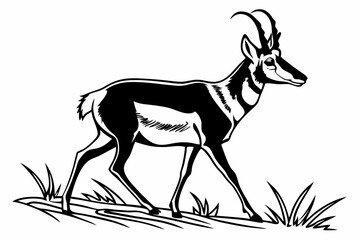 pronghorn sihouette black vector