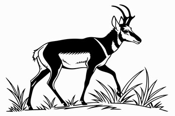 pronghorn sihouette black vector
