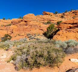Petrified Sand Dunes on The Wire Pass Trail, Vermillion Cliffs National Monument, Utah, USA