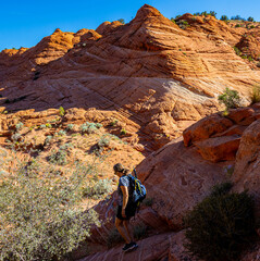 Female Hiker Beside Petrified Sand Dunes on The Wire Pass Trail, Vermillion Cliffs National Monument, Utah, USA
