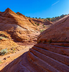 Petrified Sand Dunes on The Wire Pass Trail, Vermillion Cliffs National Monument, Utah, USA