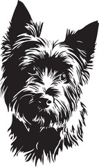 cairn terrier dog portrait