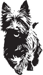 vector illustration of cairn terrier dog